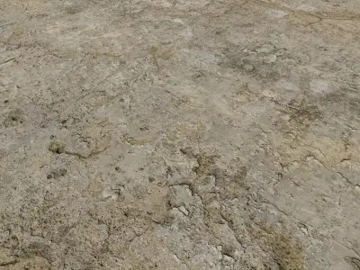 Plaster wall  Texture