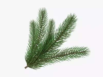 Fir tree branch 02 3D model