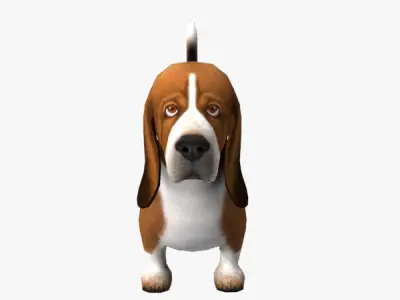 Basset Hound Low-poly 3D model