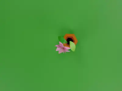 Lily assets decoration  Low-poly 3D model