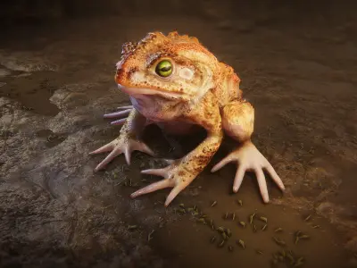 Frogs pack Low-poly 3D model