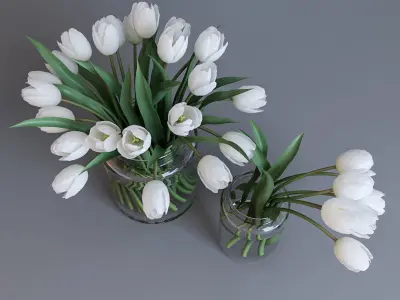 White tulips 3D model