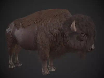 Bison Low-poly 3D model