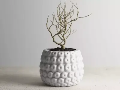 vase 3d print 331 3D print model