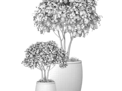 Decorative citrus fruit Lemon and Orange tree in a rattan pot 3D model