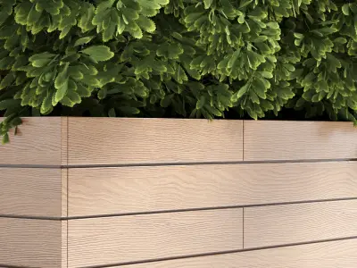 Outdoor plant 14- wood bax Low-poly 3D model