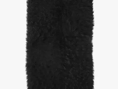 Mongolian fur rug black 3D model