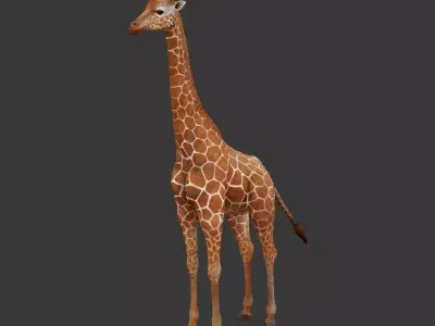 giraffe Low-poly 3D model