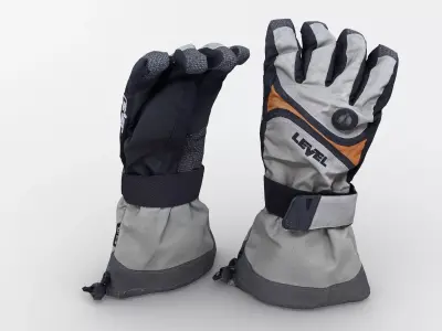 Ski Gloves 3D model