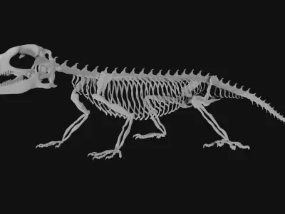 Lizard skeleton 3D model