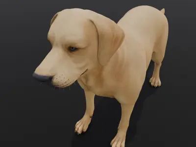 Dog Animated and Rigged Low-poly 3D model