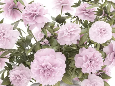 Beautiful pink Formal Bouquet Peony Vase Decor 3D model