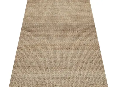 Rug Set 1438 3D model
