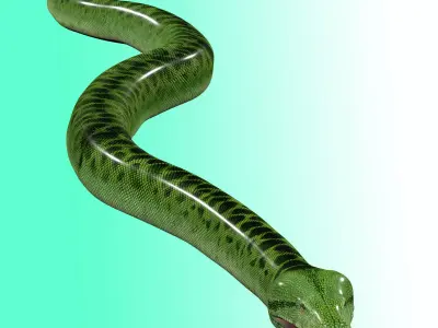 Green Python Snake 3D model