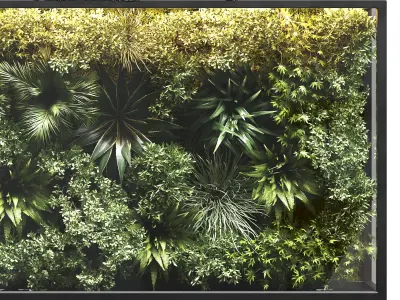  plant stand rock vertical garden wall glass box vase 3D model