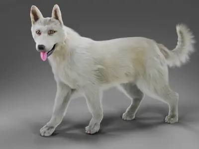 Fur White Dog Rigged Low-poly 3D model