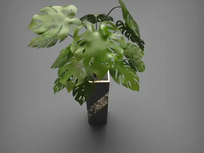 Monstera Deliciosa 2 Black Vase 3D model