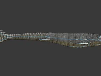 Mosasaurus Low-poly 3D model