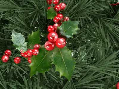 Christmas - Round Plant Pot 3D Model 3D model