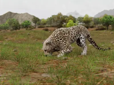Leopard Animated Low-poly 3D model