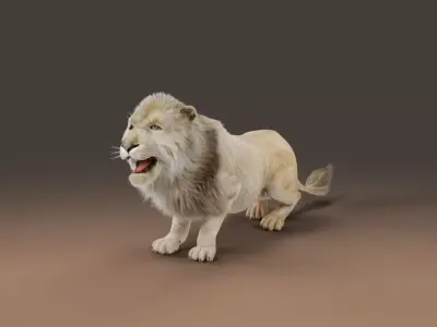 Fur White Lion Rigged in Blender  Low-poly 3D model