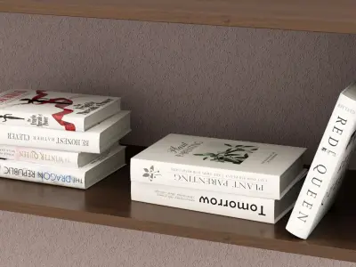 3D model of white hardcover books  3D model