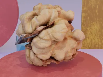 Walnut kernel 01 high-poly 3D model