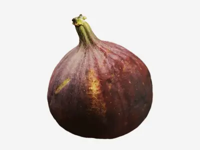 Fig Scan 4K 3D model