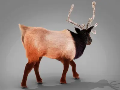 Fur Red Reindeer Rigged Blender  Low-poly 3D model