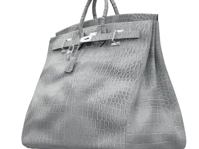Birkin 55 HAC Croc Bag Low-poly 3D model
