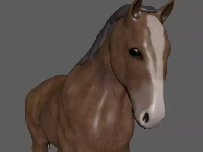 horse 3D model 3D model purchase