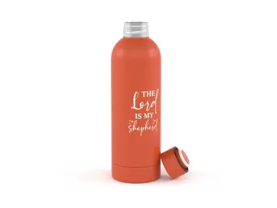 Water Bottle 3D model get