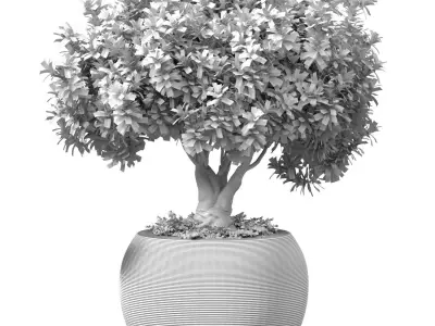 Decorative flowering tree in modern vase urn pot 3D model