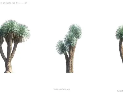 Maxtree Plant Models Vol 73 - Mesh 3D model