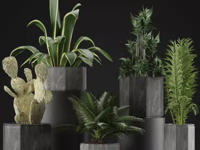 Plants Collection 26 3D model