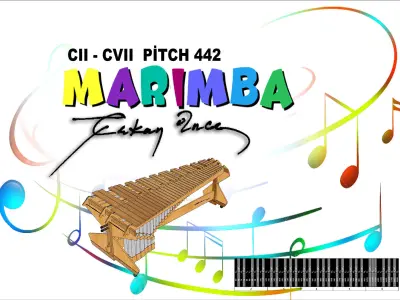 5 Octaves Artist Model Rosewood Marimba 3D model