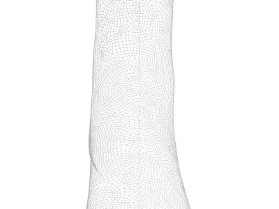 Womens Socks 3D model