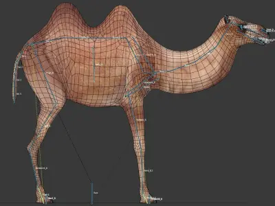 Camel Low-poly 3D model 7