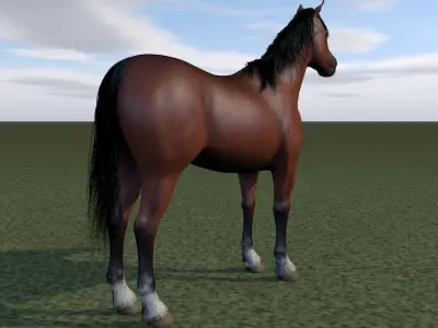 Horse rigging 3D model