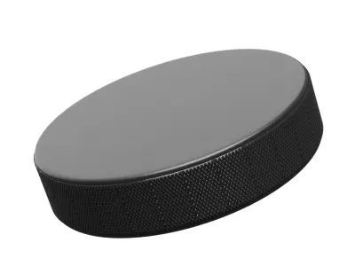 Hockey Puck 3D model