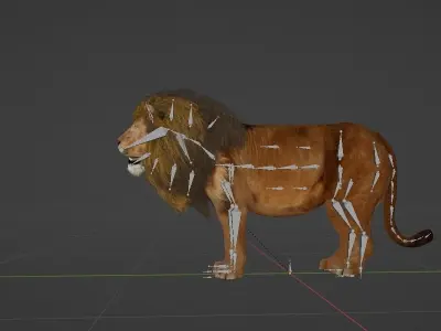 Male African Lion Mr Big 3D model