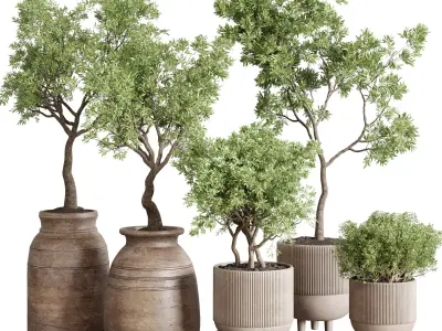  indoor outdoor plant 141 vase concrete wood old pot tree 3D model