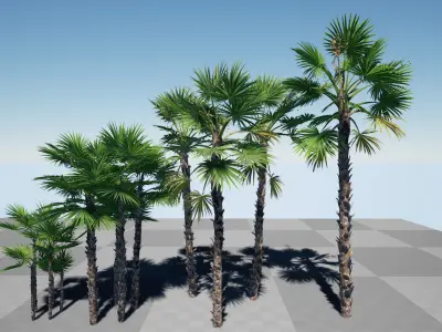 HQ Plants Volume 7 Palms for unreal engine 3D model set of 24 3D model