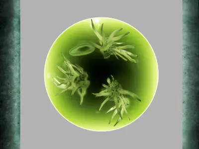 Alien flower By Alisa Sheinson Free 3D model