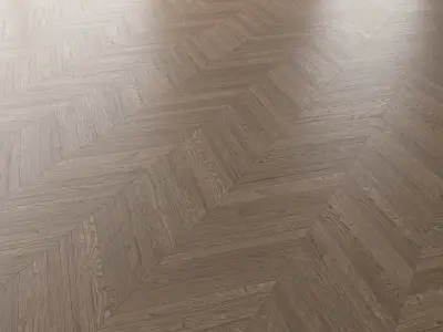 Parquet Oak Missisippi WWL set 1 3D model