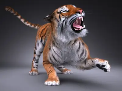 Sumatran Tiger for 3dsmax 3D model