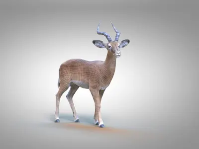 Impala RIG Xgen Core 3D model
