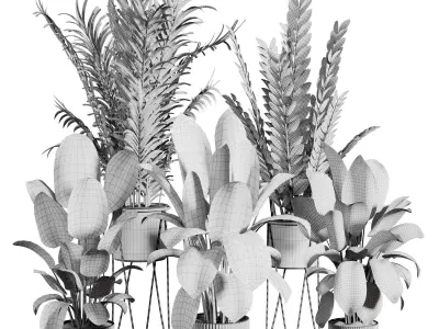 indoor plant 523 3D model