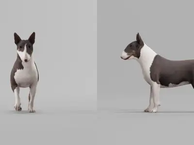 Bull Terrier  Game Ready 3D model