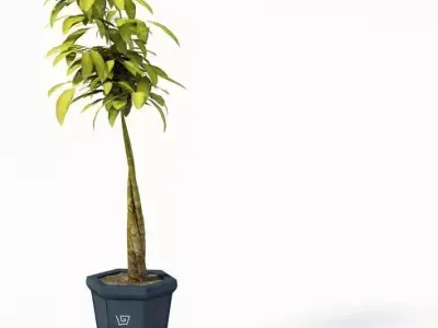 Interior Designing Plant In A Blue Planting Pot 3D model